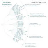 Cognitive Bias Codex Too Much Information